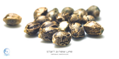 Start a New Life Poster