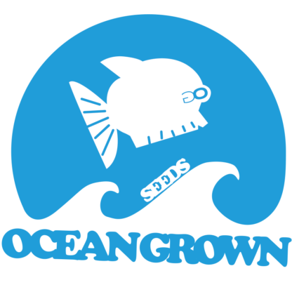Ocean Grown Sticker Pack - Image 3