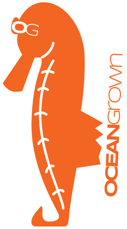 Ocean Grown Sticker Pack - Image 4